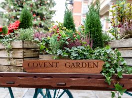 A visitor's guide to Covent Garden and places to see