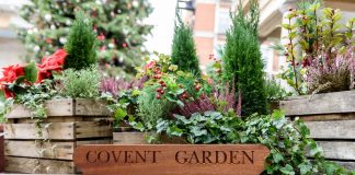 A visitor's guide to Covent Garden and places to see